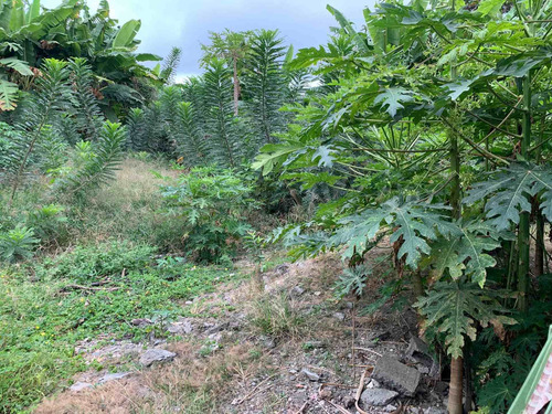 Imagen 3 de 6 de Terreno En Tonsupa Acepto Vehículo Credito Biess