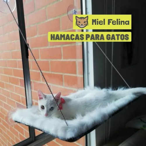 Imagen 4 de 7 de Camas Para Gatos, Hamacas De Ventana Para Gatos Miel Felina