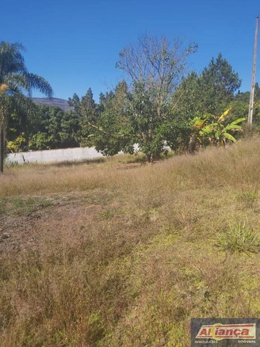 Imagem 6 de 15 de Terreno À Venda, 3000 M² - Centro - Itapeva/mg - Ai17864