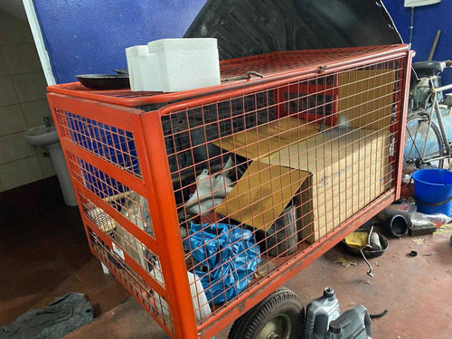 Imagen 5 de 6 de Carro De Tres Ruedas Marca La Esperanza Como Nuevo