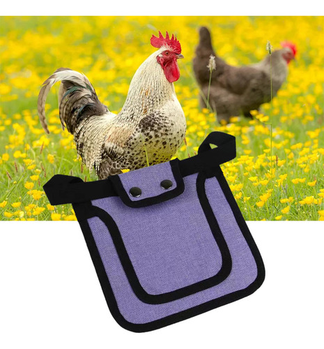 3 Sillas De Montar Para Pollo, Silla De Gallina Violeta