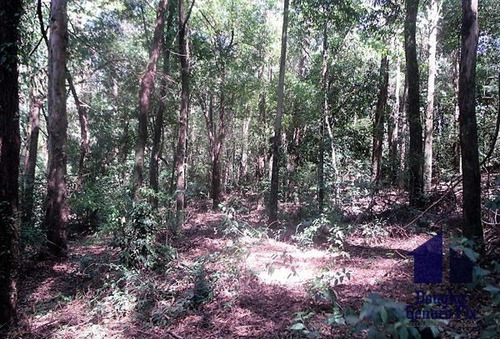 Imagem 9 de 16 de Rural Chacara - 669235-v