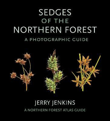 Libro Sedges Of The Northern Forest : A Photographic Guid...