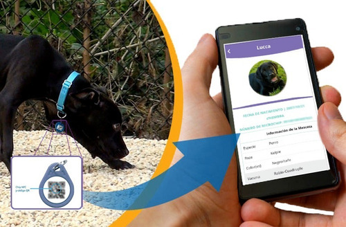 Imagen 3 de 5 de (10 Pack) Smart Tag/placa Inteligente Qr Y Nfc Para Mascotas