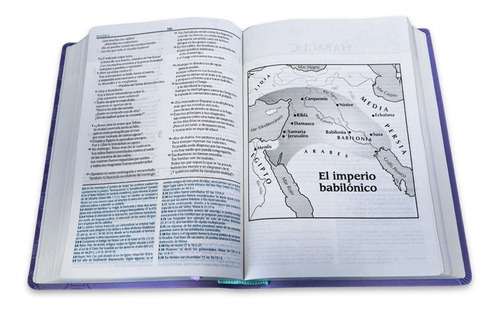 Biblia De Estudio Reina Valera Contemporánea/ Morado
