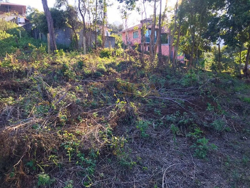 Imagem 11 de 12 de Lote Em Condomínio De Alto Padrão No Cônego - Nova Friburgo - 406