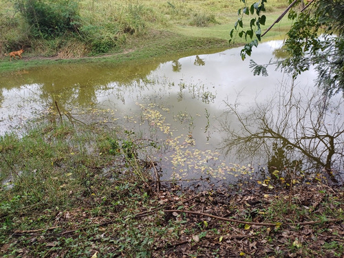 Chácara Em Área Rural Com 3.500 Metros Quadrados.