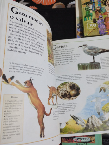 Gran Lote Libros Infantil Y Juvenil Variado. Olivos (Usado)