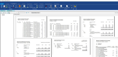 Imagen 1 de 5 de Contable Inventario Ventas