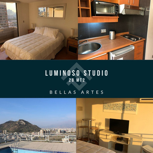 Departamento Studio En Venta Bellas Artes Parque Forestal