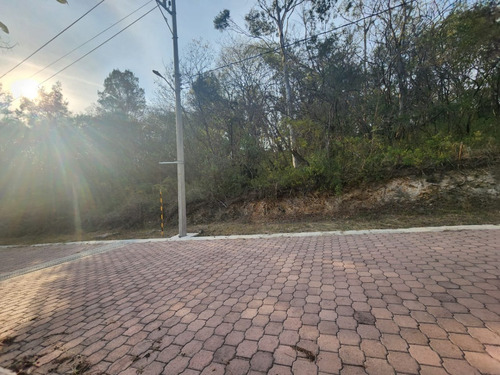 Venta Lote Gladiola 32 En Calle Privada De Nueva Zona De Fracc Rancho San Diego Ixtapan De La Sal Edomex Con Todos Los Servicios Y Vistas Panorámicas.