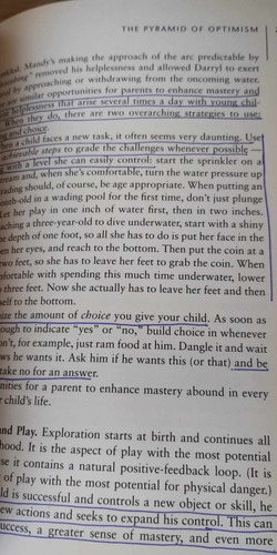 The Optimistic Child+learning Optimism M E P Seligman (Reacondicionado)