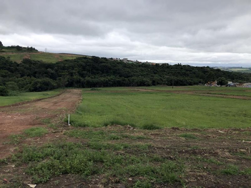 Imagem 15 de 15 de Terreno Para Venda Em Ponta Grossa, Neves - L-eco31_1-859684