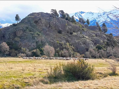 Imagen 12 de 12 de Venta Campo 30 Hectáreas En Trevelín - Chubut (29752)