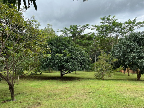 Imagen 6 de 30 de Preciosa Quinta-finca En Labrador De San Mateo De Alajuela, Todos Los Servicios