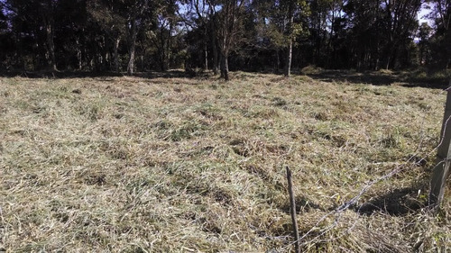 Imagem 2 de 7 de Lote Com Vista Privilegiada - St-411