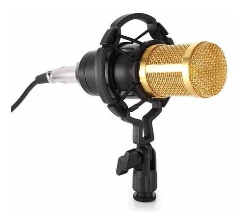 Kit Micrófono Estudio Condensador Profesional Bm800+brazo