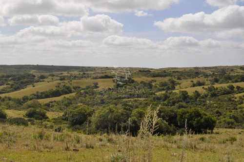 Imagen 8 de 30 de Venta De Chacras De 5 Has Se Ubicado En Garzon - Garzón Garzon