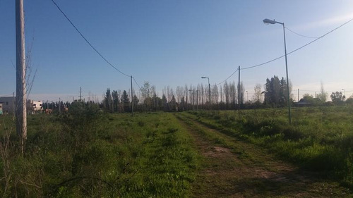 Terreno En Venta En 409/139 Y 141 Buona Terra Villa Elisa - Alberto Dacal Propiedades