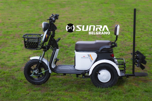 Imagen 6 de 16 de Triciclo Eléctrico Gt Golf / Adulto Mayor / Discapacidad