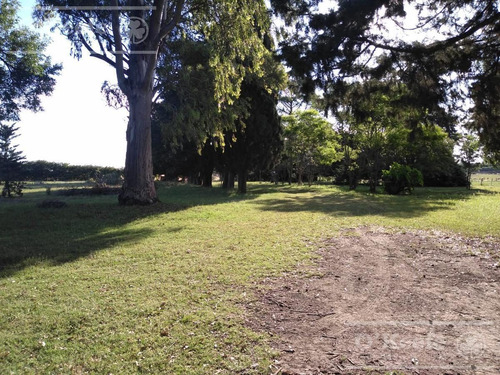 Imagen 19 de 29 de Chacra Agricola En Venta 32 Has- San Pedro