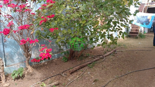 Imagem 22 de 30 de Casa Térrea No Alto Da Lapa - 1818
