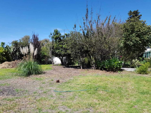 Imagen 1 de 30 de Terreno En Venta Toluca Por Av. Comonfort