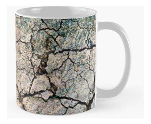 Taza Tierra Seca Calidad Premium