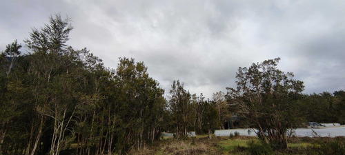 Se Vende Terreno En Venta De 5000 M2 Con Casa (81888)