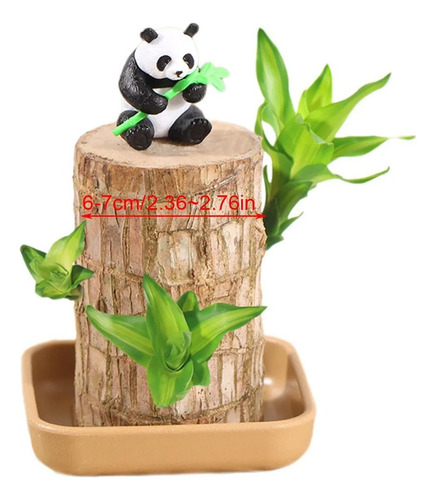 Para Madera De La Suerte Brasileña Con Panda | Set De
