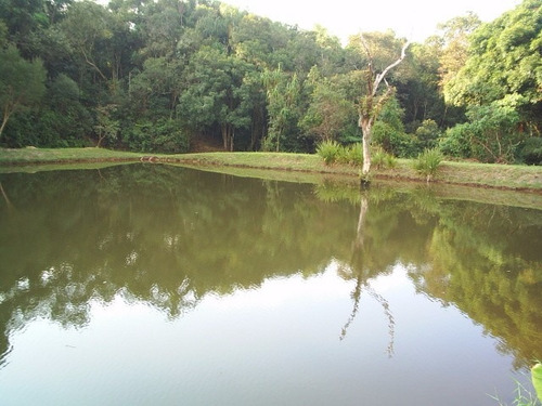 Sitio Em Ibiúna; 80.600 M2 Piscina, Lindo Lago, 02 Nascentes