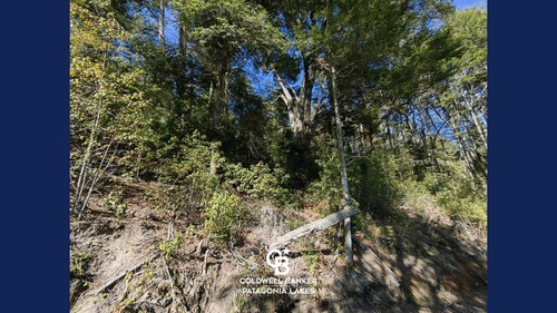 Imagen 9 de 23 de Venta Lote/terreno Fracción De 6500,24 M2 Vista Al Lago Faldeo Del Bayo Villa La Angostura