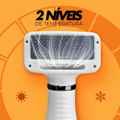 Kit Completo Para Pets: Aparador, Secador E Bebedouro Filtro Dourado