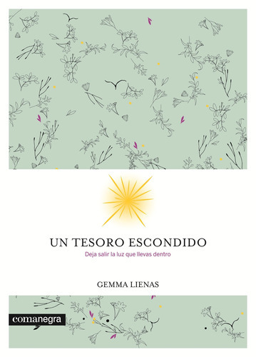 Un Tesoro Escondido, De Liennas, Gemma. Editorial S/d, Tapa Blanda En Español, 2016