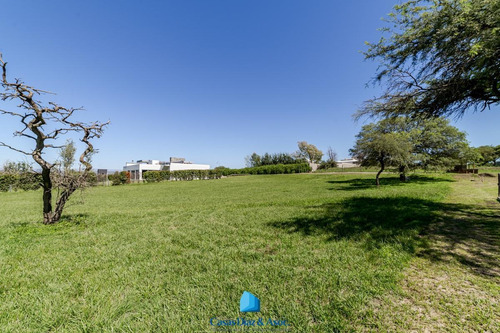 Imagen 12 de 25 de Gran Lote En Venta De 2100 M2 - Country Causana