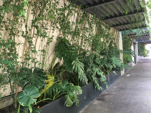 Imagen 4 de 6 de Departamento En Venta, Col Roma Norte, Cuauhtémoc, 5to Nivel