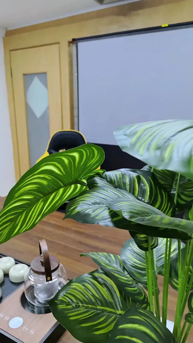 Cadeira Gamer Python Fly Gc01 Ergonômica Reclinável Com Apoio Para Pés 150 Kg Preto/verde Couro Sintético