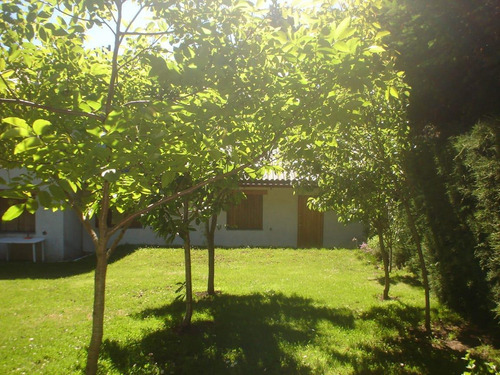 Imagen 6 de 29 de Casa - Jardín Botánico - Ideal Hostel O Vivienda Familiar