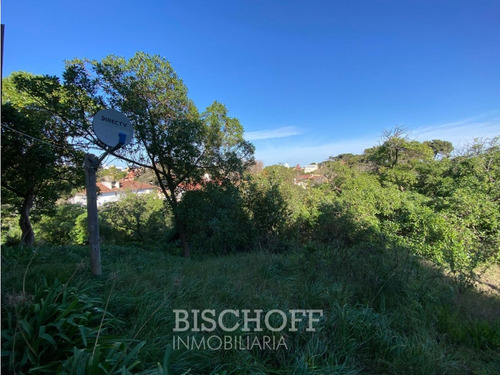 Venta De Lote En Ostende Calle Moreno