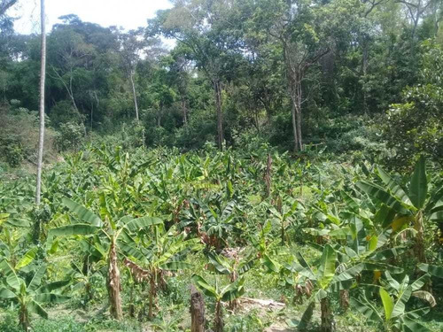 Imagen 22 de 25 de En Venta Finca Matadero De Pollo