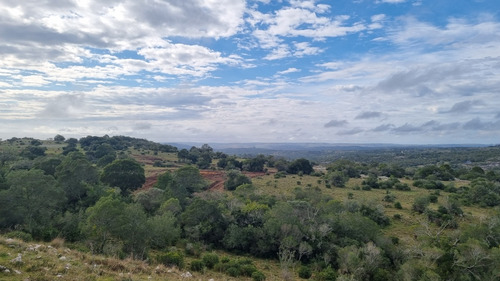 Oportunidad Chacras 5 Hectareas En Maldonado. Sierras De Aigua, Ruta 109. Con Arroyo, Cañadas, Monte Nativo.