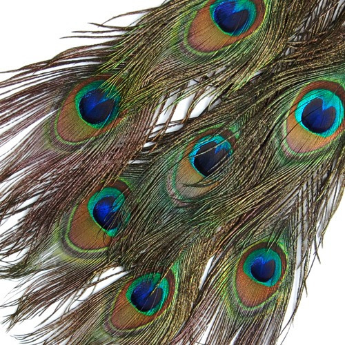 20 Piezas Plumas De Cola De Ojo De Pavo Real For Máa