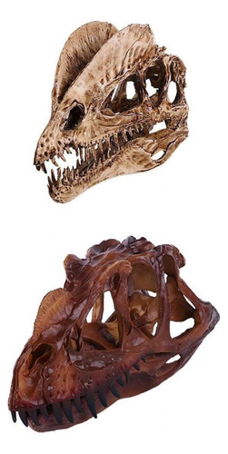 2 Piezas 1/3 Modelo De Resina Dilophosaurus Cráneo Fósil