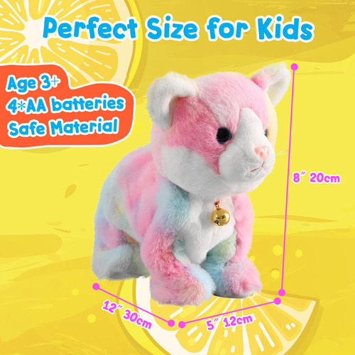 Colorido Juguete Robot Robot Robot Cat Robot Cat Robot, Gato