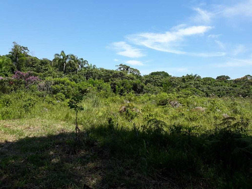 Chacara Em Peruibe Com 5 Hectares (1762)