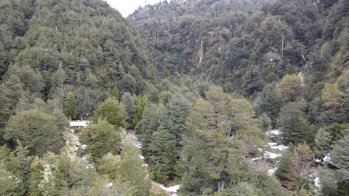 Venta Parcela Para Crear Proyecto Turistico Melipeuco