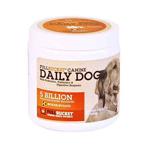 Daily Perro Probiótico 87 G - Soporte Natural Digestión, Tra