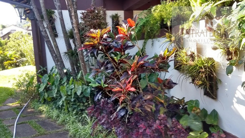Imagem 5 de 15 de Casa 2 Andares Padrão Em Alto Da Serra - Petrópolis - 2477