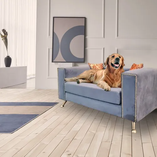 Sillon Mascota Perro Gato Antidesgarro Premium Dadaa