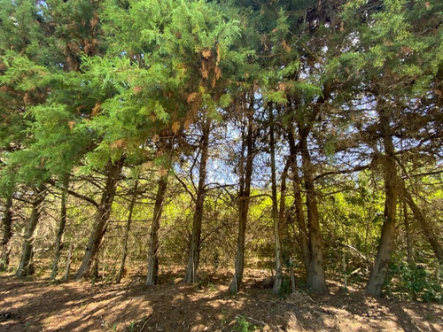 Imagen 11 de 18 de Terreno En Venta - El Remanso - Exaltación De La Cruz - 1900 M2